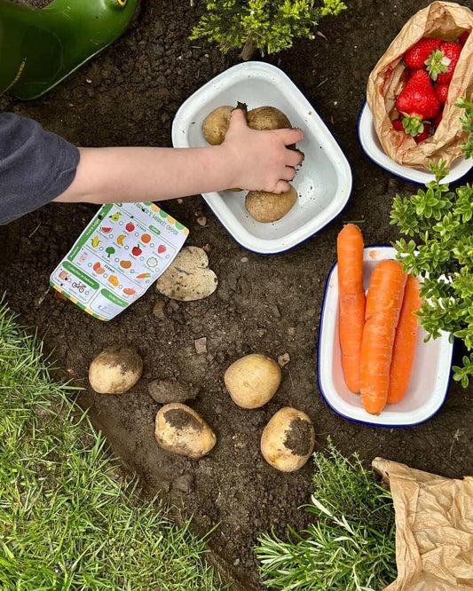 How to Set Up a Farmers Market Role Play at Home (Kids Aged 3–7)